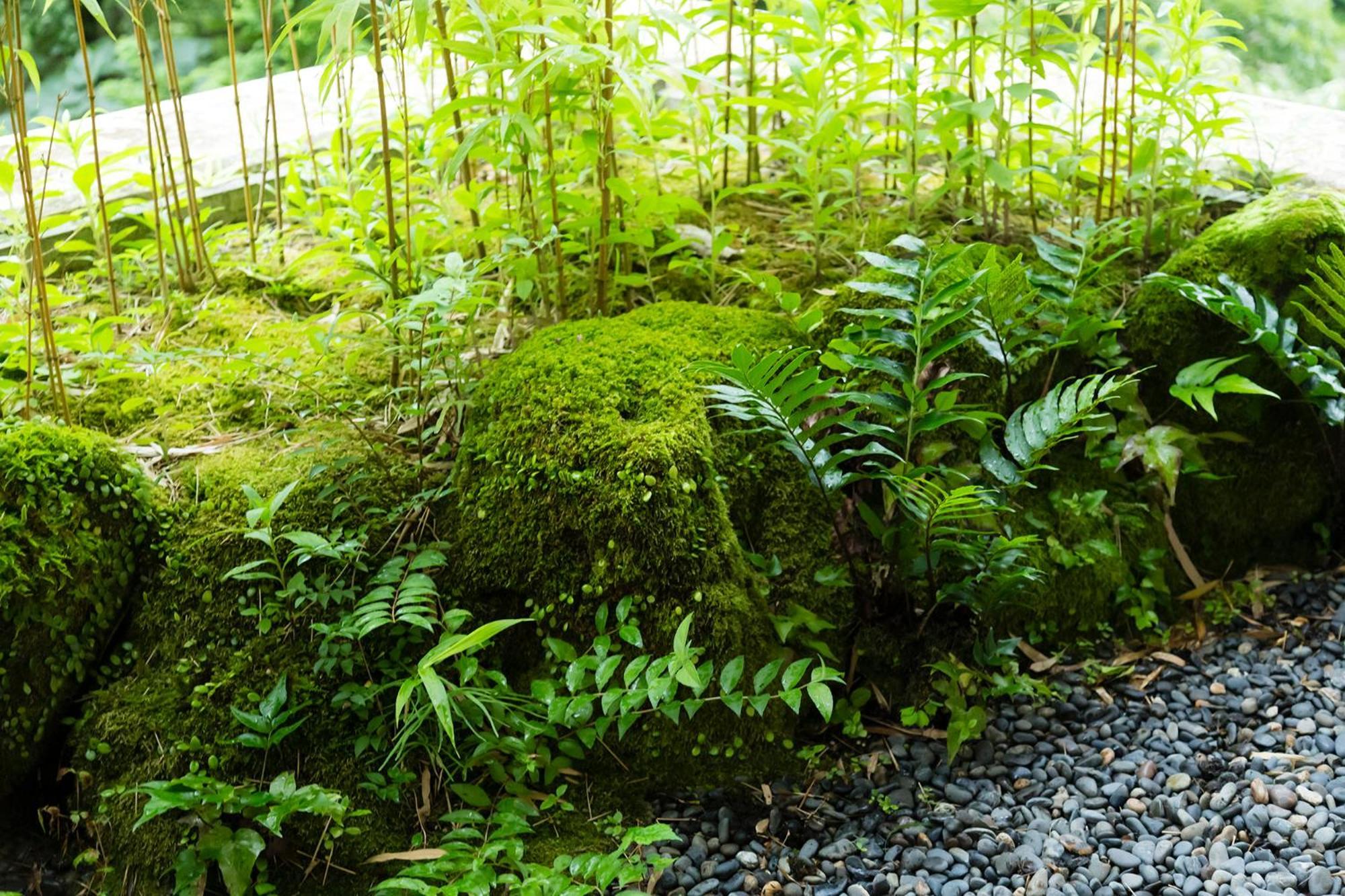 Hakone Yumoto Onsen Hotel Kajikaso Екстериор снимка