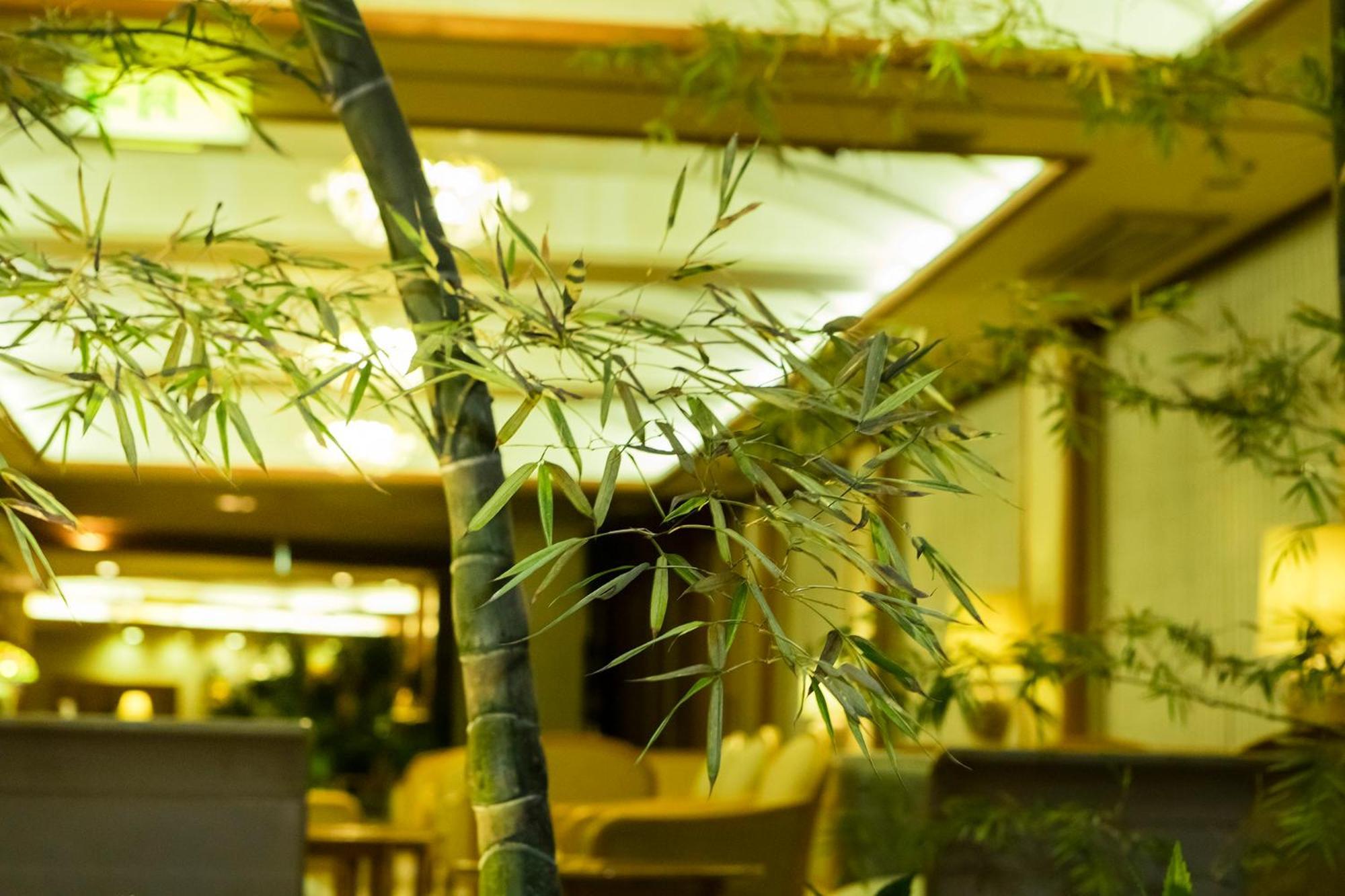 Hakone Yumoto Onsen Hotel Kajikaso Екстериор снимка